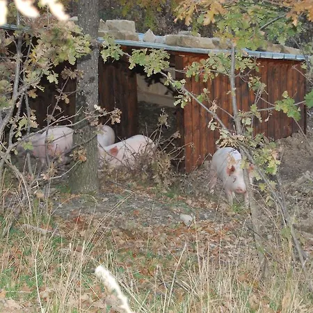Colle Delle Meraviglie Fratticciola Selvatica