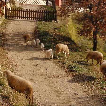 Фермерский дом Colle Delle Meraviglie